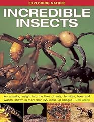 Incredible insects amazing d'occasion  Livré partout en France