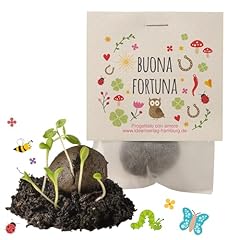 10x buona fortuna usato  Spedito ovunque in Italia 