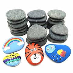 Lifetop 24pcs rocks for sale  Delivered anywhere in USA 