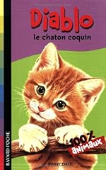 Diablo chaton coquin d'occasion  Livré partout en France