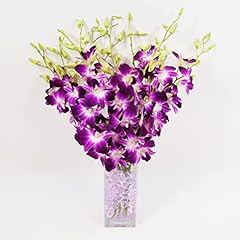 Athena garden fresh for sale  Delivered anywhere in USA 
