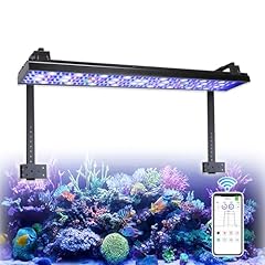 Popbloom hertz75 led gebraucht kaufen  Wird an jeden Ort in Deutschland