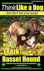 Basset hound basset for sale  Delivered anywhere in UK