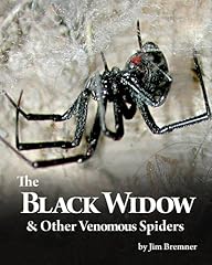 Black widow venomous for sale  Delivered anywhere in UK