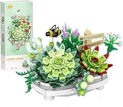 Succulents bonsai building for sale  Delivered anywhere in UK