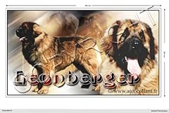 Panoramic dog sticker for sale  Delivered anywhere in UK