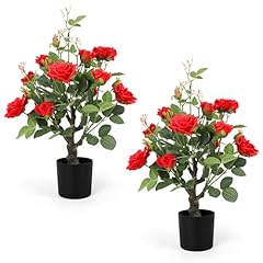 Romantic season 2pack for sale  Delivered anywhere in USA 