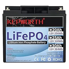 Kepworth batteria litio usato  Spedito ovunque in Italia 