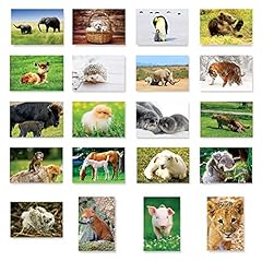 Baby animals postcard for sale  Delivered anywhere in USA 