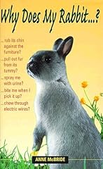 Rabbit . . for sale  Delivered anywhere in USA 