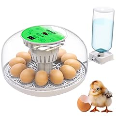 Okkobi m12 egg for sale  Delivered anywhere in UK