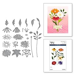 Spellbinders floral stems for sale  Delivered anywhere in USA 