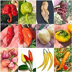 120 seeds hottest for sale  Delivered anywhere in UK