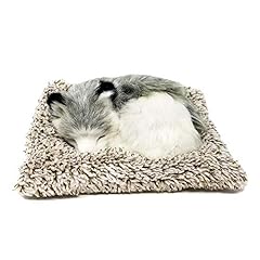 Perfect petzzz minis for sale  Delivered anywhere in USA 