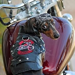 Doggie design biker for sale  Delivered anywhere in USA 