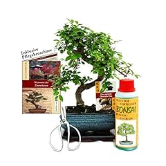 Exotenherz geschenkset bonsai gebraucht kaufen  Wird an jeden Ort in Deutschland