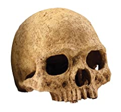 Exoterra cave skull usato  Spedito ovunque in Italia 