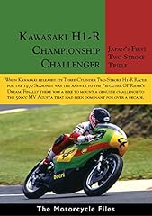 Kawasaki grand prix usato  Spedito ovunque in Italia 