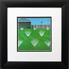 David hockney lawn for sale  Delivered anywhere in USA 