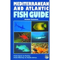 Mediterranean atlantic fish for sale  Delivered anywhere in USA 
