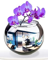 Tidyfriend convex mirror for sale  Delivered anywhere in USA 