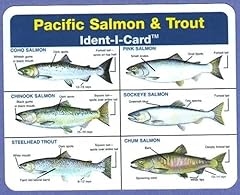 Ident cards pacific for sale  Delivered anywhere in USA 