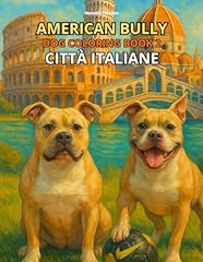 American bully dog usato  Spedito ovunque in Italia 