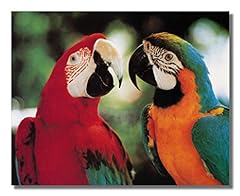 Tropical birds macaw for sale  Delivered anywhere in USA 
