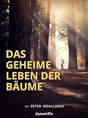 Geheime leben bäume gebraucht kaufen  Wird an jeden Ort in Deutschland