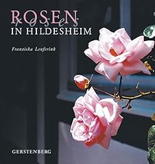 Rosen hildesheim gebraucht kaufen  Wird an jeden Ort in Deutschland