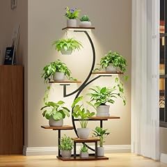 Bacekoll plant stand for sale  Delivered anywhere in USA 