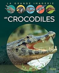 Crocodiles d'occasion  Livré partout en France