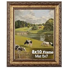 Splinterix 8x10 antique for sale  Delivered anywhere in USA 