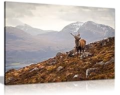 Wild stag scottish for sale  Delivered anywhere in UK