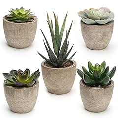 Coitak artificial succulent for sale  Delivered anywhere in USA 