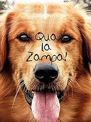 Qua zampa usato  Spedito ovunque in Italia 