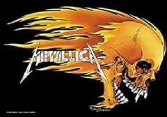 Metallica skull flames gebraucht kaufen  Wird an jeden Ort in Deutschland