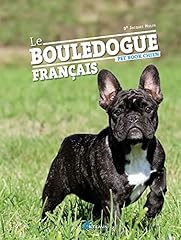 bouledogue francais non lof d'occasion bouledogue francais non lof d'occasion Livré partout en France