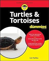 Turtles tortoises dummies for sale  Delivered anywhere in USA 