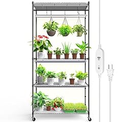 Barrina plant stand for sale  Delivered anywhere in USA 