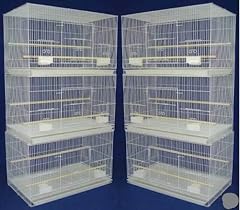 Lot breeding bird for sale  Delivered anywhere in USA 