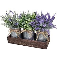 Set small potted for sale  Delivered anywhere in USA 
