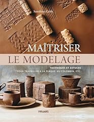 Maîtriser modelage d'occasion  Livré partout en France