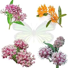 Milkweed seeds monarch for sale  Delivered anywhere in USA 