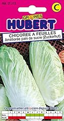 Graines chicorée feuilles d'occasion  Livré partout en France