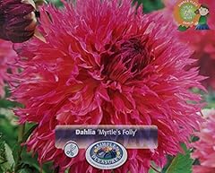 Myrtle folly fubuki for sale  Delivered anywhere in USA 