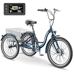 Naizea electric tricycle for sale  Delivered anywhere in USA 