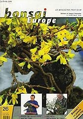 Bonsai kenichi abe d'occasion  Livré partout en France