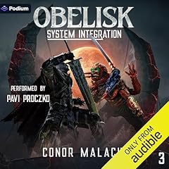 Obelisk system integration usato  Spedito ovunque in Italia 