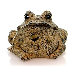 Home garden toad for sale  Delivered anywhere in USA 